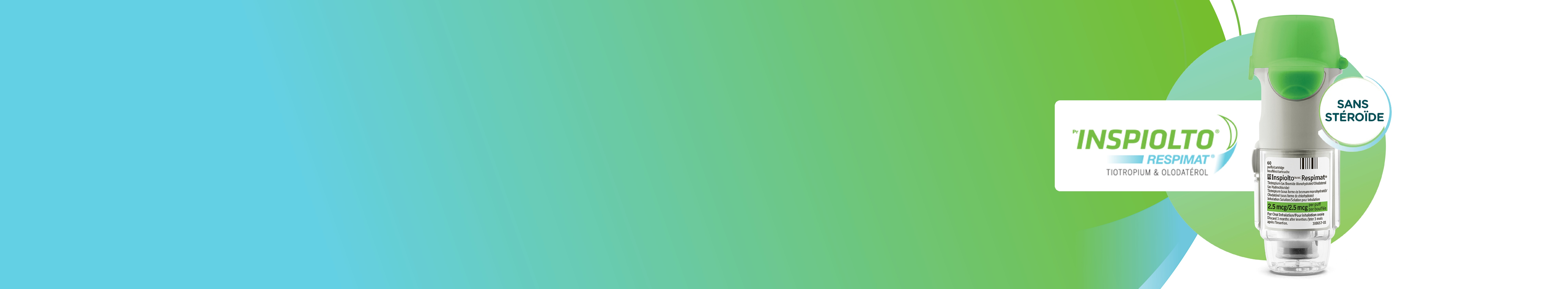 Lien à Retour au haut de la page