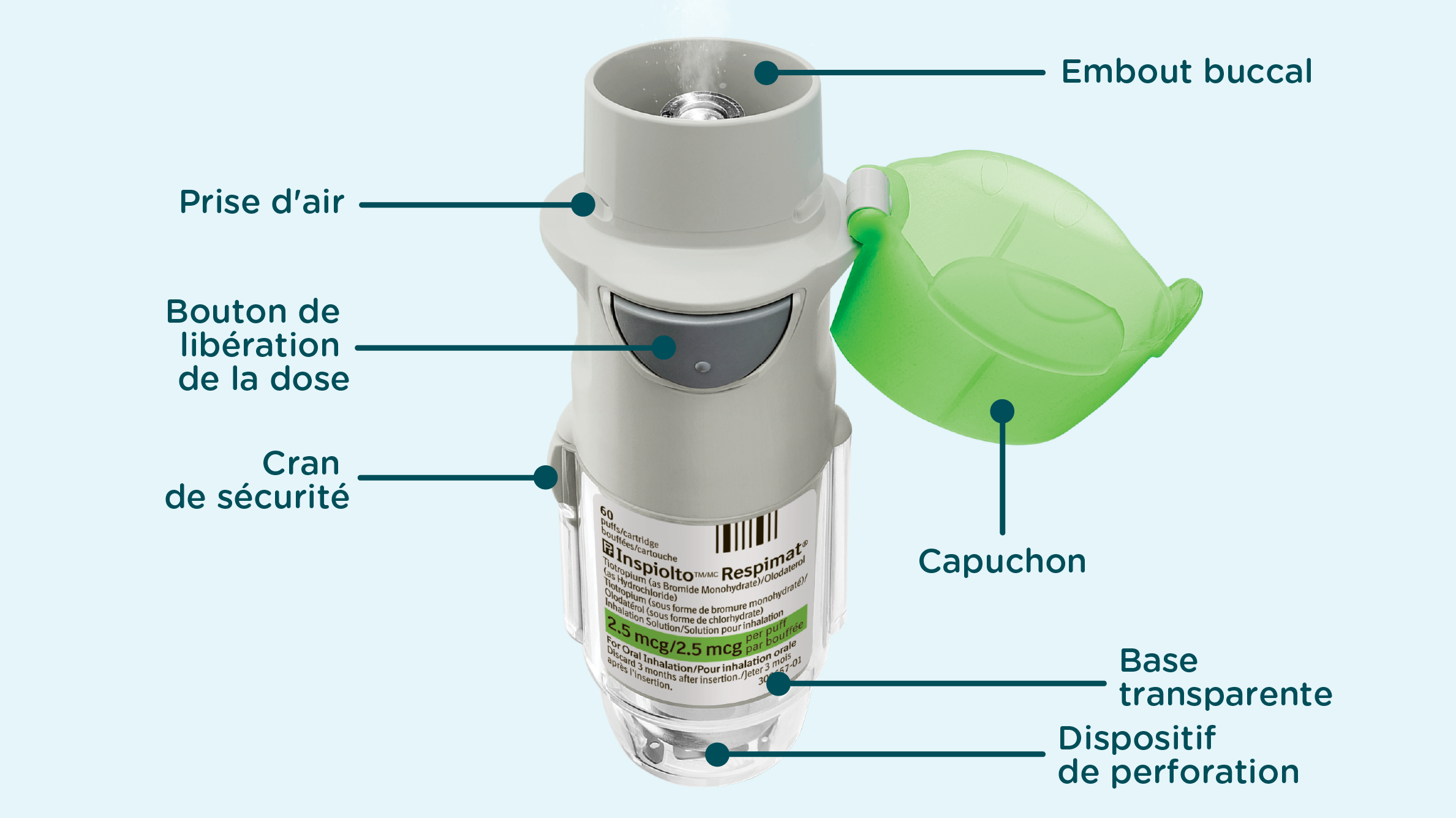 Produit avec flèches indiquant le nom des différentes pièces de l’inhalateur : embout buccal, prise d’air, bouton de libération de la dose, cran de sécurité, base transparente, dispositif de perforation, capuchon vert.